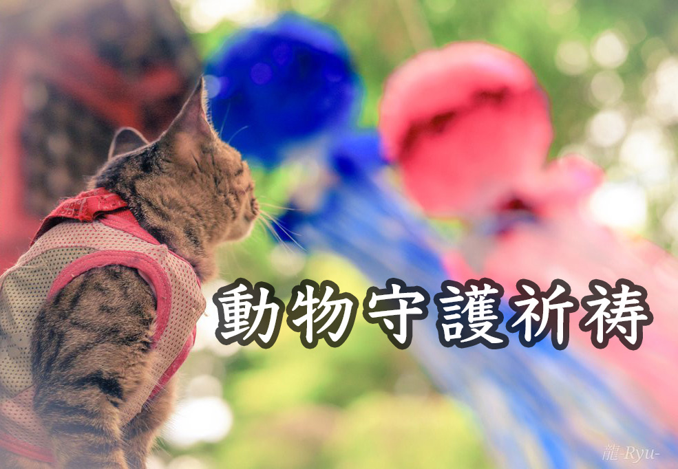 若草稲荷神社・動物守護祈祷